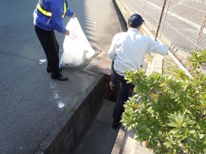 DSCN3619