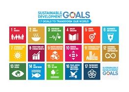 持続可能な開発目標(SDGs)