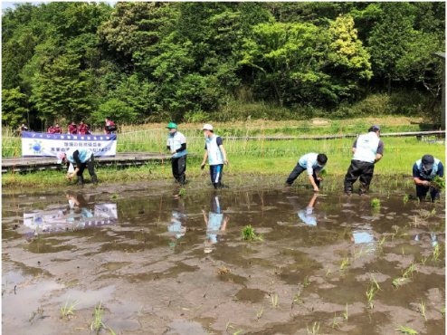 田植え作業の様子