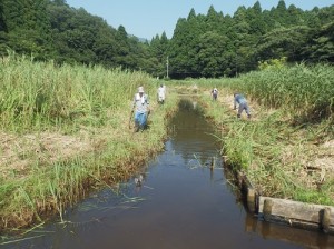草刈③
